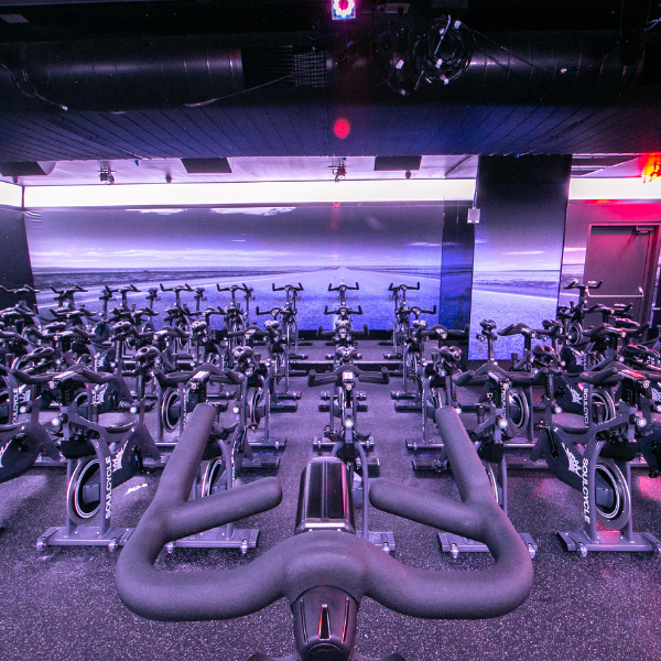 Elevate Your Health and Wellness Game